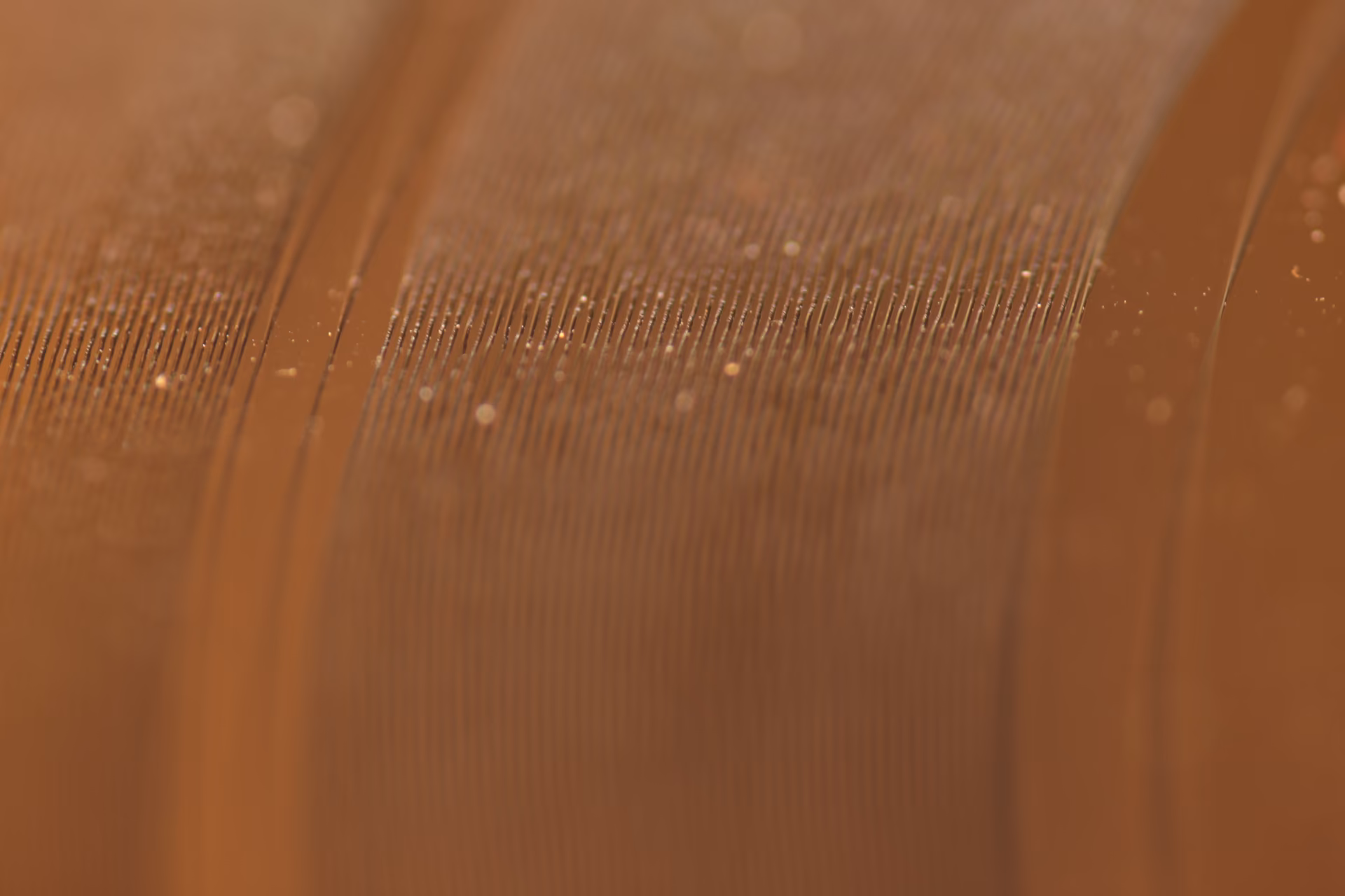 Cận cảnh rãnh đĩa vinyl (đĩa than)