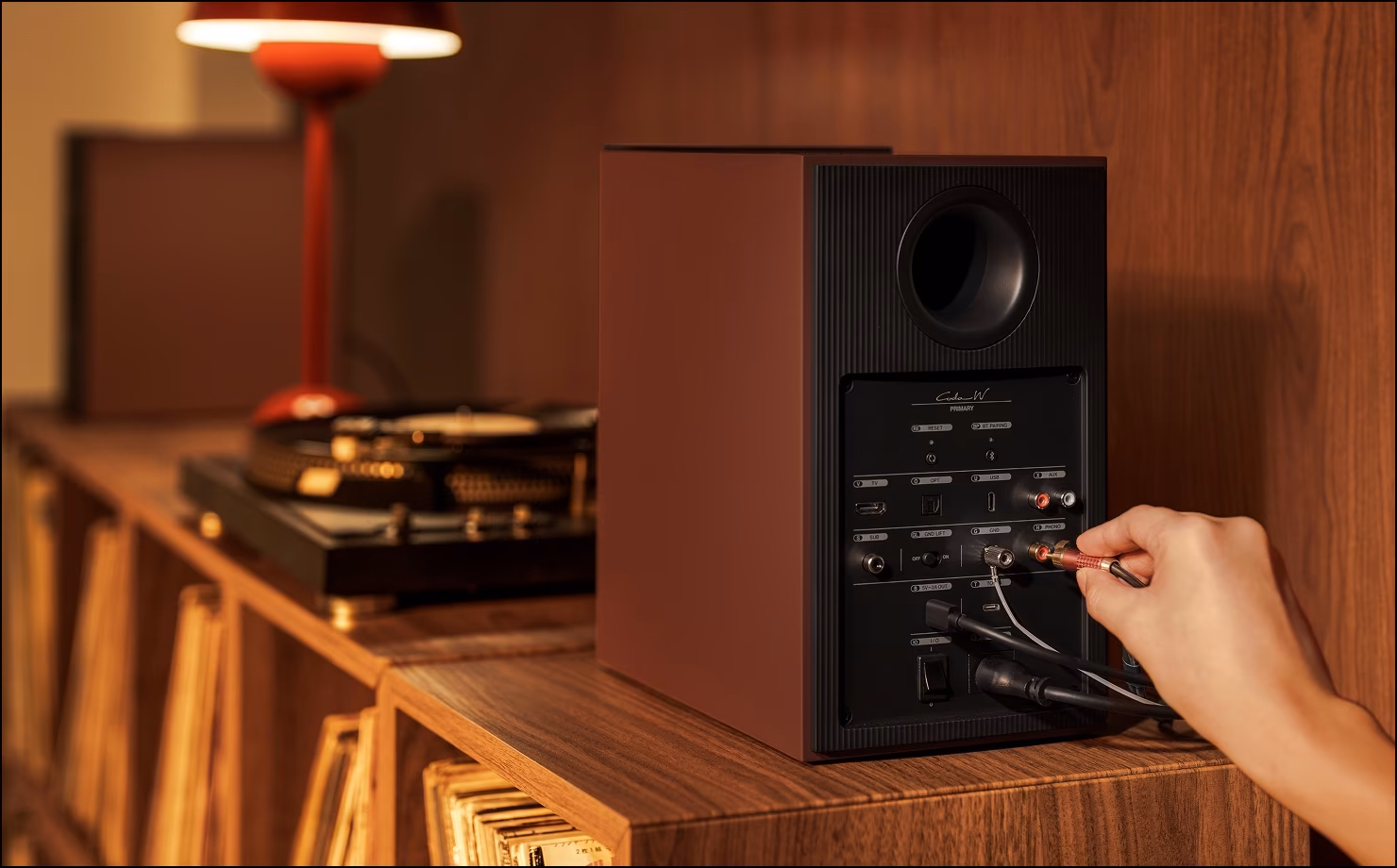 Mặt sau loa KEF Coda W với ngõ PHONO và AUX
